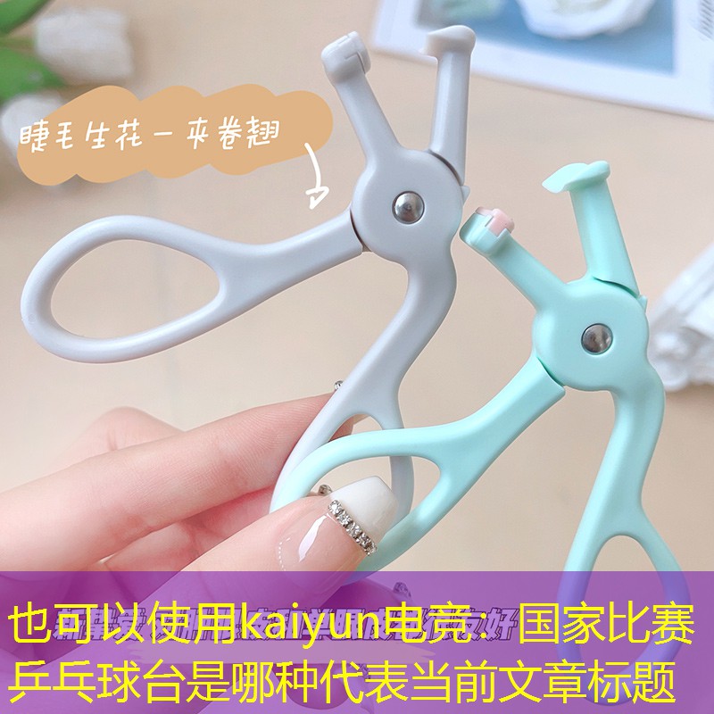 国家比赛乒乓球台是哪种